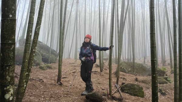 金牌縱走202502082709504