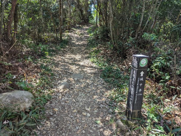 漂亮的五葉松及很有特色的圓木棧道：大坑5-1及5號步道＆頭嵙山（小百岳#41）1879168