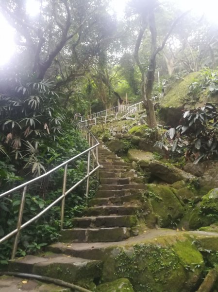 小百岳013號～南港山，幾乎整路爬樓梯，不怕樓梯者限定1348533