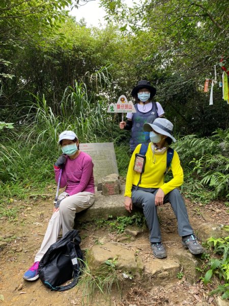 獅仔頭山/小百岳1453956