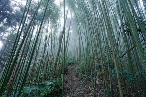 新竹 五峰 鬼澤山2634014