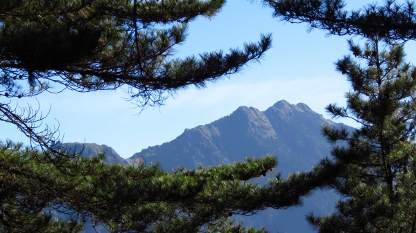 超越自我奇萊南華行24201