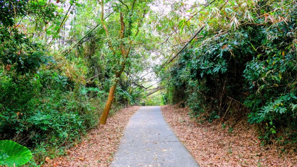 大崗山,盤龍峽谷2954514