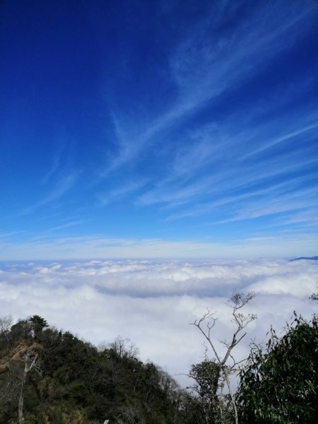 鹿場-加里山_彰化育樂協會_202401182431220