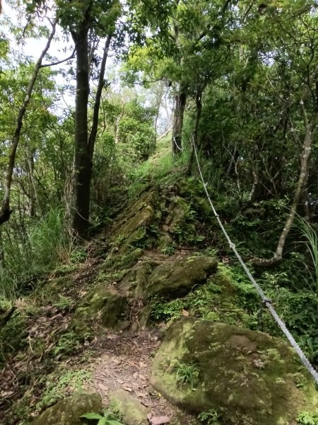 汐止區磐石嶺福興宮+581峰+雙十塔+耳空龜山+四分尾山+大尖山2805719