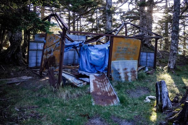 帝王之座-南湖主峰線｜南湖大山＋南湖南峰＋巴巴山2884950