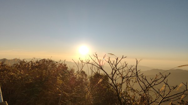 波鞍船稍G屋東2688250