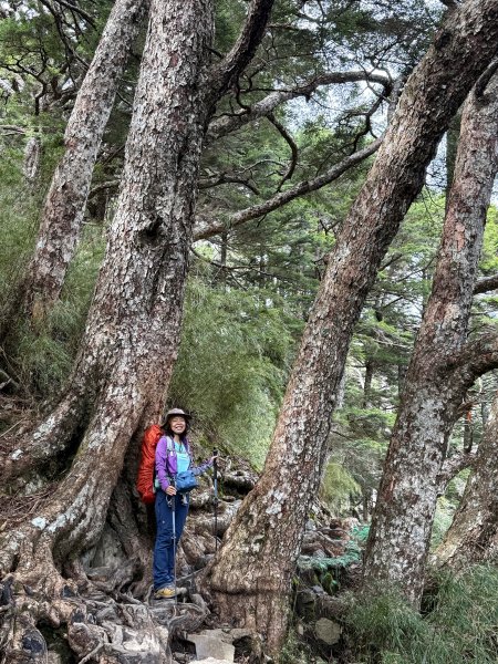 玉山主峰 2025/09/26~272915393