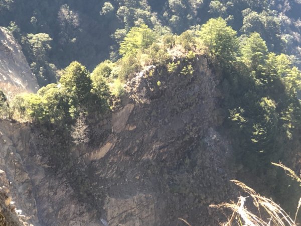 小關山林道上斯拉巴庫山1285110