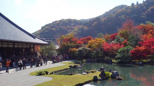 日本京都嵐山651948