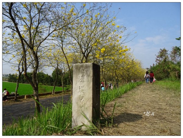 嘉義/朴子溪風鈴木874439