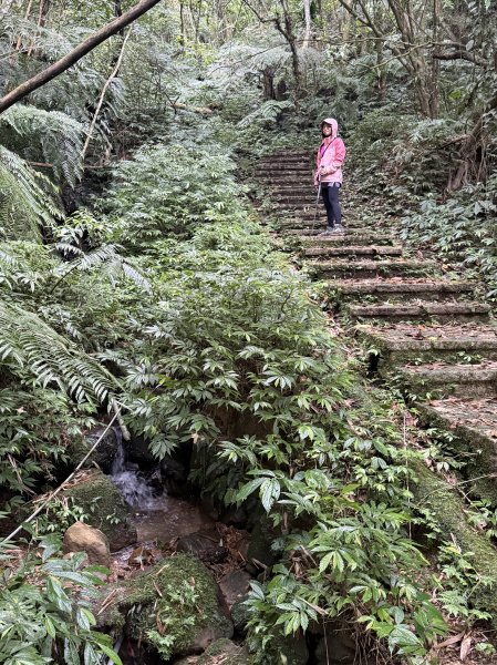 土庫岳-202503172770512