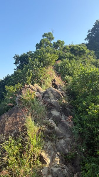 旗尾山、美濃湖3130927