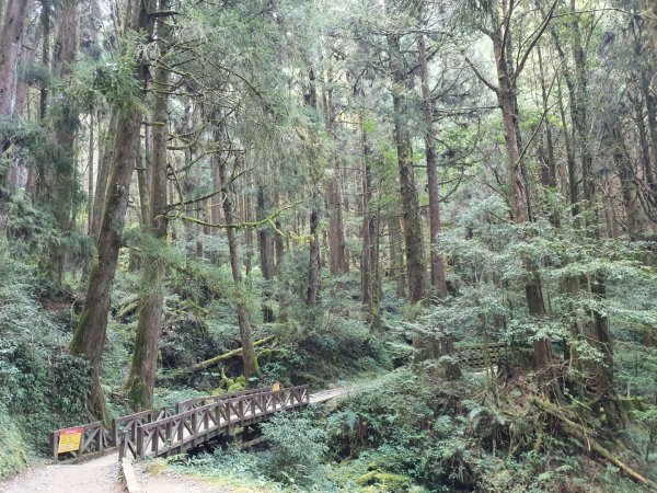 特富野古道1303982