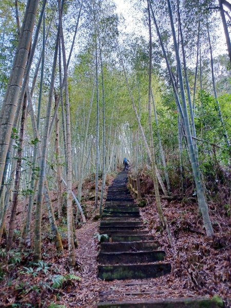 【雲林古坑】舒適宜人。 石壁山連走好望角嘉南雲峰2755253