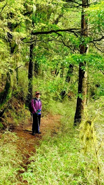 再訪卯木山、合歡越嶺古道與關原駐在所1735346