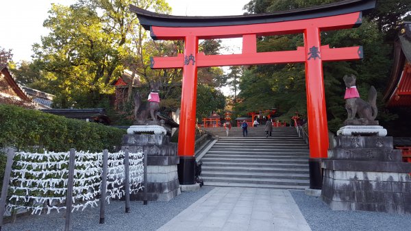 【日本】京都。稻荷山1432275