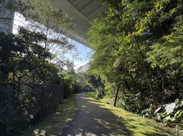 [淡蘭古道] 2026_0315 南路第二段_外按古道3016401
