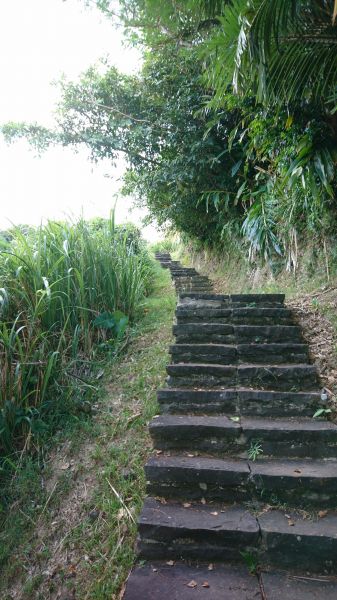 綠島過山古道+過山步道382886