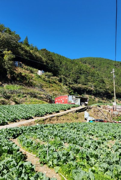 【中級山】馬武霸山，實至名歸的百岳觀景台2937755