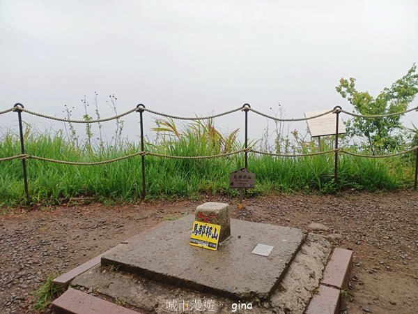 【苗栗大湖】山頂展望佳等到雲海。 馬那邦山登山步道2806810