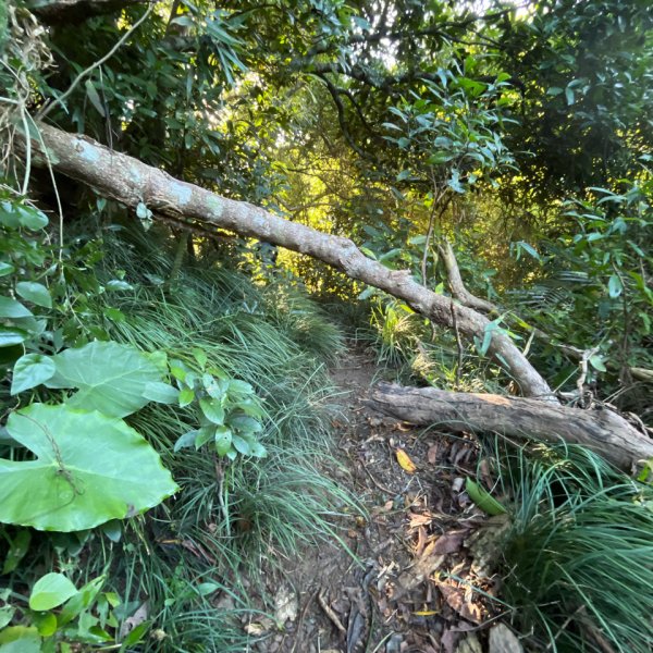 20251214_女仍山（屏東小百岳）2968703