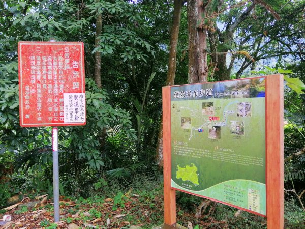 【雲林草嶺線】草嶺山間小旅行蓬萊瀑布步道1165000