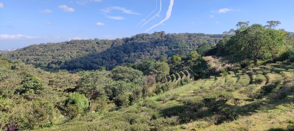 秀才登山步道2936919