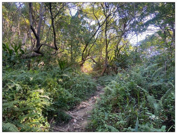 烏尖連峰縱走18基石 ( 唭哩岸山、軍艦岩、丹鳳山 )2980903