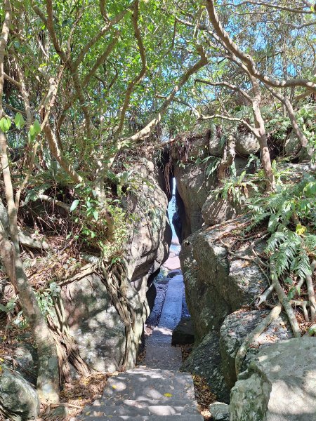 北關海潮公園202508312877143