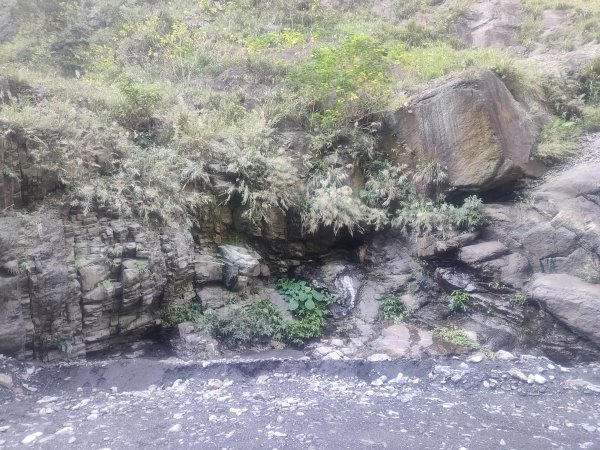 北港溪峽谷步道溫泉2697737