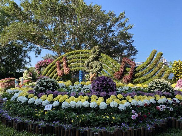 【賞花】賞花添好運 把握士林官邸菊展最後一週