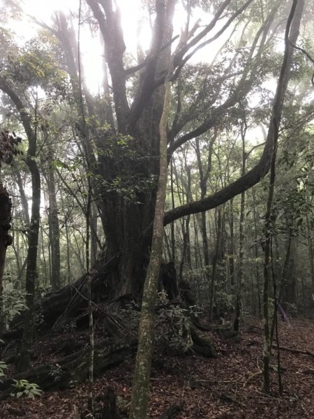 惠蓀林場小出山578050