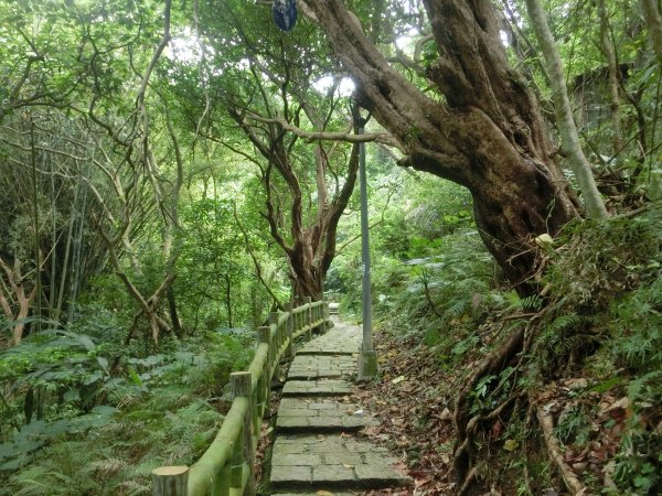 劍南山．鄭成功廟．劍南蝶園．劍潭古寺557807