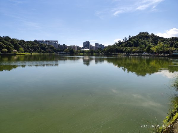 內湖碧湖公園步道、郭子儀紀念堂、獅頭山、大港墘公園、宏匯瑞光廣場2813418