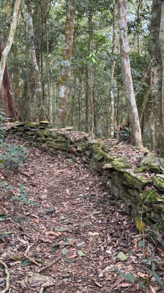 六龜警備道/茂林段/網子山～鳴海山2708204