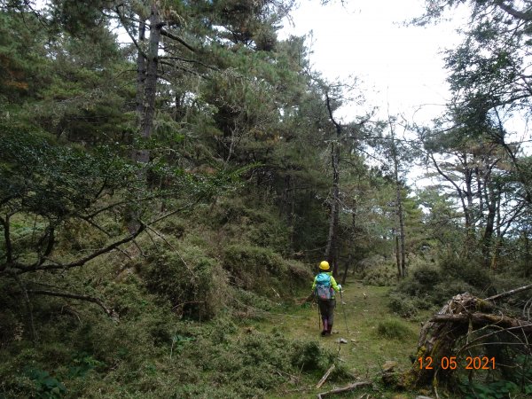 石水山及玉山林道1539593