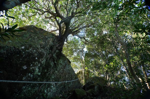 新竹 關西 福大山、彩和山、高甫山2988293