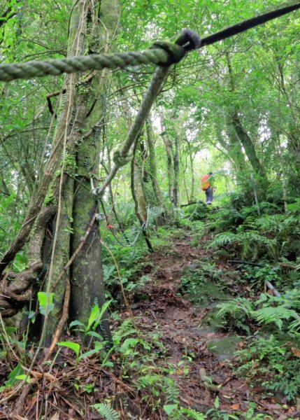 崩山大崙-石碇大崙2799070