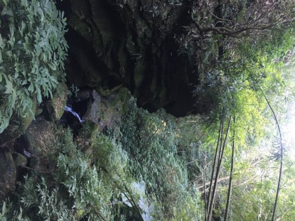 六寮崙山、雞罩山、白雞山8字走2371126