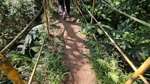 20251215林口森林步道+太平嶺海濱步道2969375