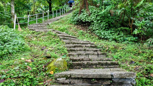 大尖山步道2833794