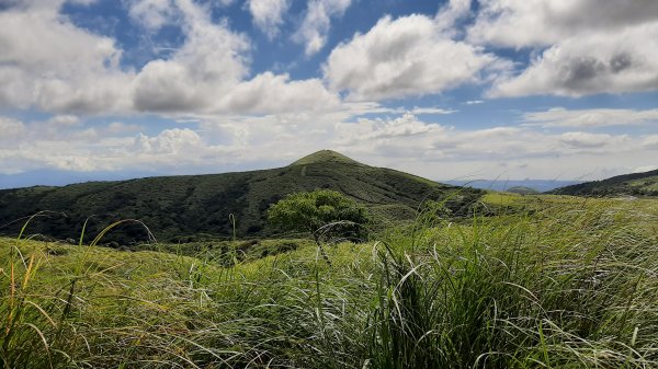 臺北大縱走3：擎天崗、頂山石梯嶺步道670025