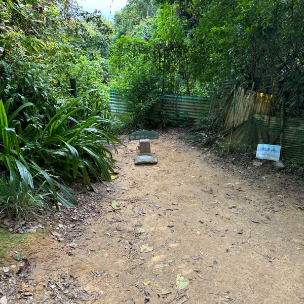 劍潭山+老地方觀機平台2922620