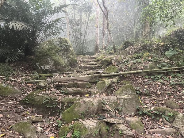 [森遊竹縣-09C/10] 2023_1112 五指山登山步道2347123