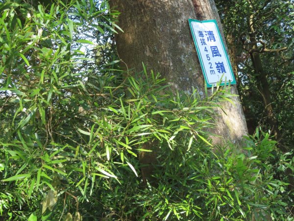 豐原三崁頂健康步道3上2下O形2696151