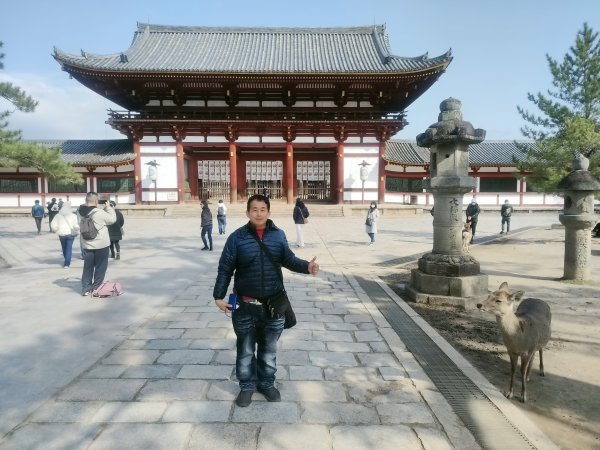 奈良公園&春日大社&東大寺2454223