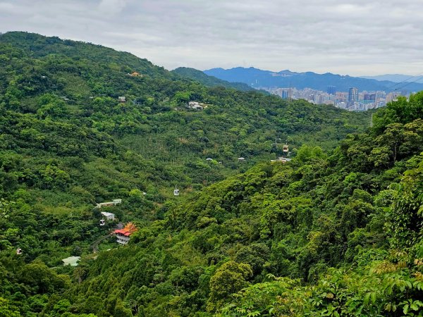 2026年臺北大縱走第七段：世界山莊至飛龍步道政大後山3032050