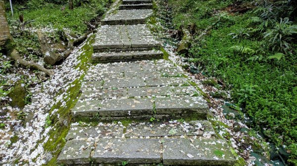 大尖山。走向2770854