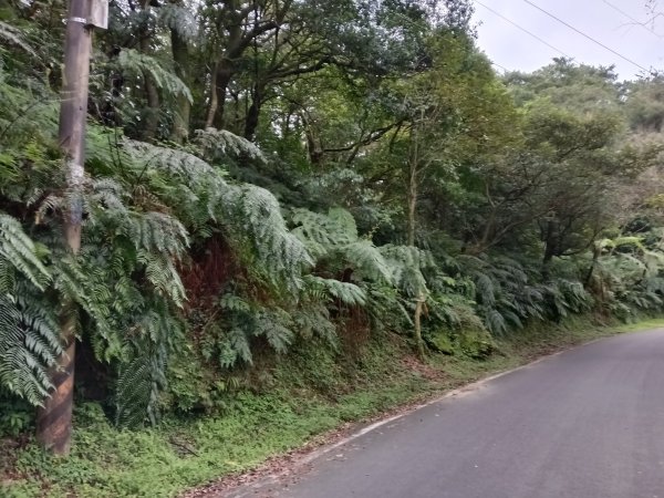 汐止區茄苳越嶺古道+上鹿窟崙山+九層坪山+四分尾山+大尖山8字走2981589